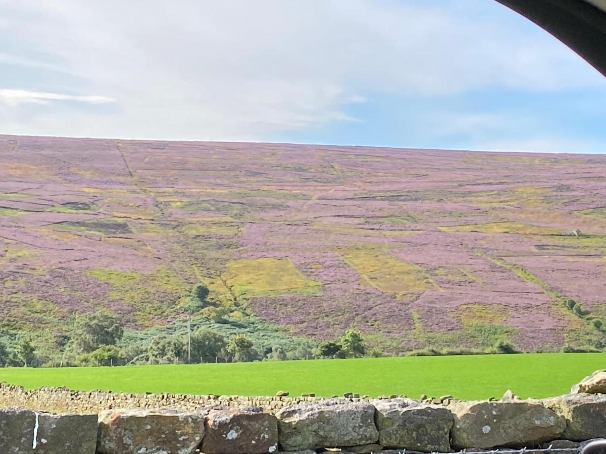 Floyter House North Yorkshire Moors National Park Bed and Breakfast Danby Eksteriør billede