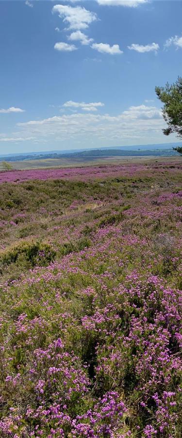Floyter House North Yorkshire Moors National Park Bed and Breakfast Danby Eksteriør billede