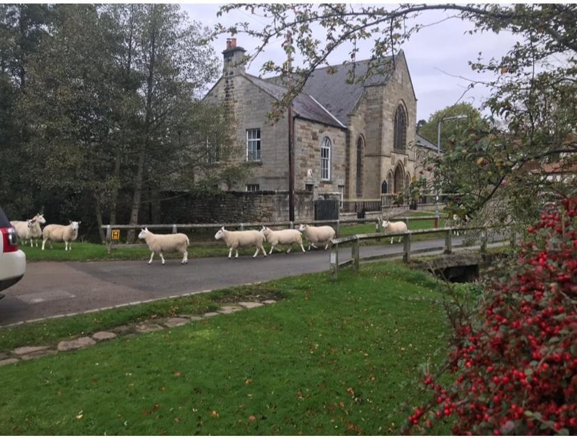 Floyter House North Yorkshire Moors National Park Bed and Breakfast Danby Eksteriør billede